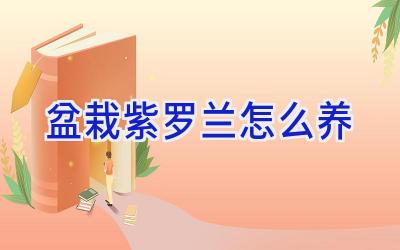 盆栽紫罗兰怎么养插图 盆栽紫罗兰怎么养插图
