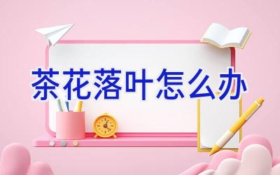 茶花落叶怎么办插图 茶花落叶怎么办插图