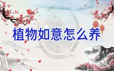 植物如意怎么养插图 植物如意怎么养插图