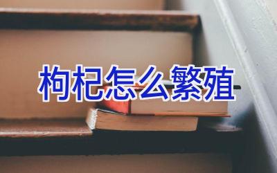 枸杞怎么繁殖插图 枸杞怎么繁殖插图