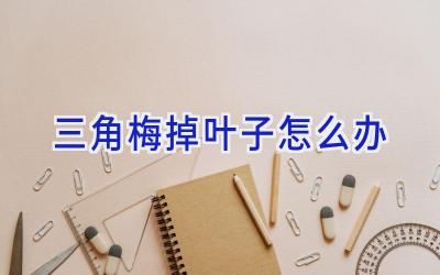 三角梅掉叶子怎么办插图 三角梅掉叶子怎么办插图