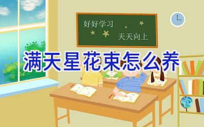 满天星花束怎么养插图 满天星花束怎么养插图