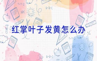 红掌叶子发黄怎么办插图 红掌叶子发黄怎么办插图