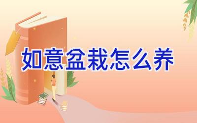 如意盆栽怎么养插图