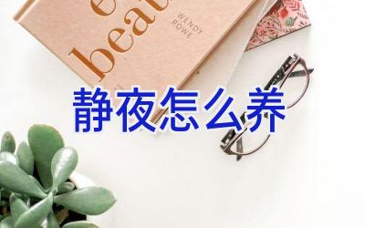 静夜怎么养插图 静夜怎么养插图