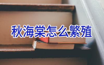 秋海棠怎么繁殖插图 秋海棠怎么繁殖插图