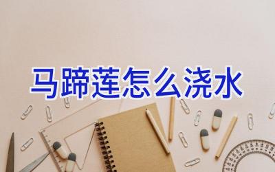 马蹄莲怎么浇水插图 马蹄莲怎么浇水插图