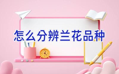 怎么分辨兰花品种插图 怎么分辨兰花品种插图