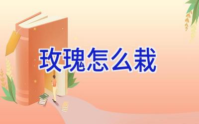 玫瑰怎么栽插图