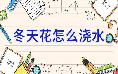 冬天花怎么浇水插图 冬天花怎么浇水插图