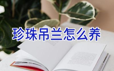 珍珠吊兰怎么养插图 珍珠吊兰怎么养插图