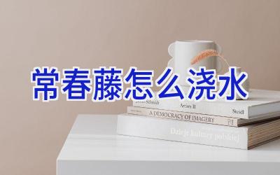 常春藤怎么浇水插图 常春藤怎么浇水插图