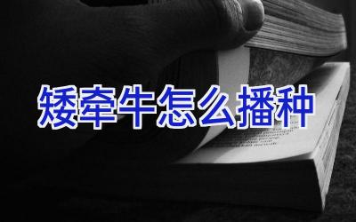 矮牵牛怎么播种插图 矮牵牛怎么播种插图