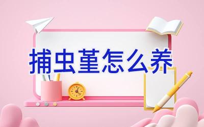 捕虫堇怎么养插图 捕虫堇怎么养插图