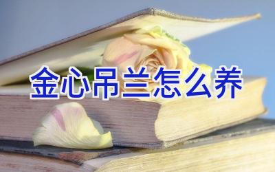 金心吊兰怎么养插图