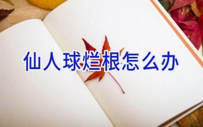 仙人球烂根怎么办插图 仙人球烂根怎么办插图