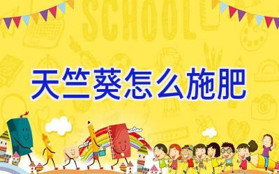 天竺葵怎么施肥插图 天竺葵怎么施肥插图