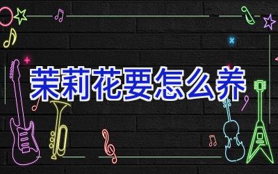 茉莉花要怎么养插图