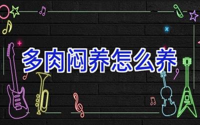 多肉闷养怎么养插图