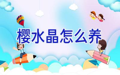 樱水晶怎么养插图