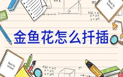 金鱼花怎么扦插插图 金鱼花怎么扦插插图