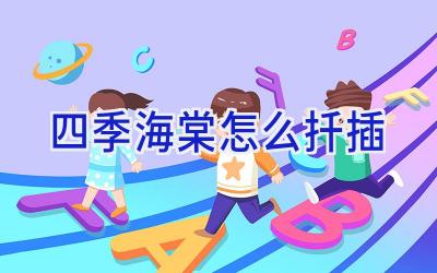 四季海棠怎么扦插插图 四季海棠怎么扦插插图