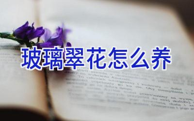 玻璃翠花怎么养插图