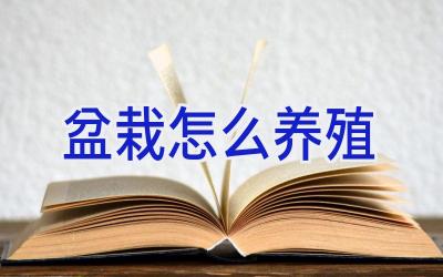 盆栽怎么养殖插图 盆栽怎么养殖插图