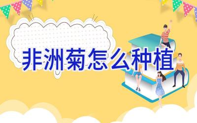 非洲菊怎么种植插图 非洲菊怎么种植插图