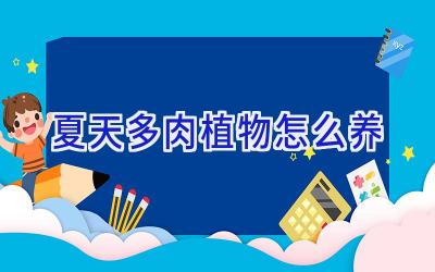 夏天多肉植物怎么养插图
