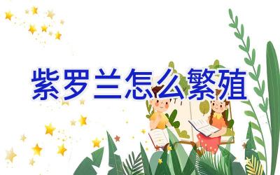 紫罗兰怎么繁殖插图 紫罗兰怎么繁殖插图