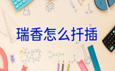 瑞香怎么扦插插图