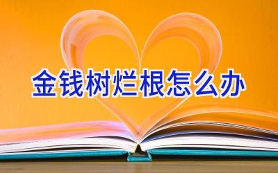 金钱树烂根怎么办插图 金钱树烂根怎么办插图