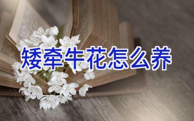 矮牵牛花怎么养插图 矮牵牛花怎么养插图