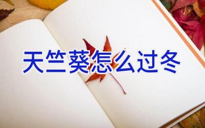 天竺葵怎么过冬插图