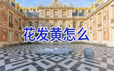 花发黄怎么插图