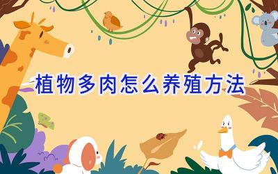 植物多肉怎么养殖方法插图 植物多肉怎么养殖方法插图