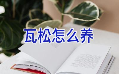 瓦松怎么养插图