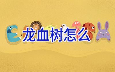 龙血树怎么插图 龙血树怎么插图