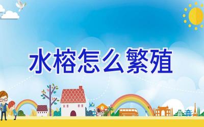 水榕怎么繁殖插图 水榕怎么繁殖插图