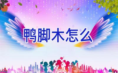 鸭脚木怎么插图