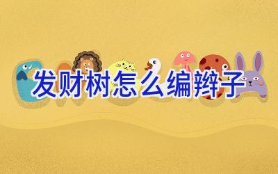 发财树怎么编辫子插图
