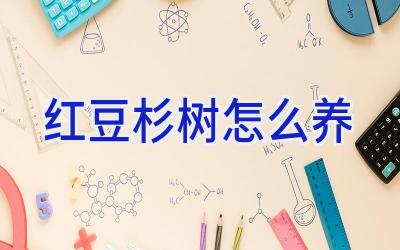 红豆杉树怎么养插图 红豆杉树怎么养插图