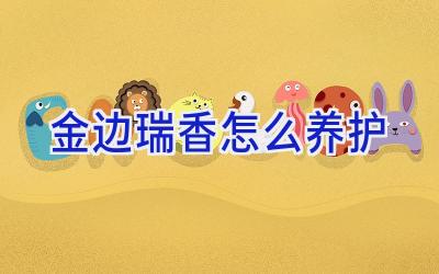 金边瑞香怎么养护插图