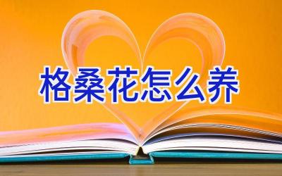 格桑花怎么养插图