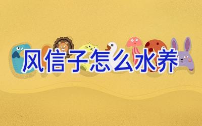 风信子怎么水养插图 风信子怎么水养插图