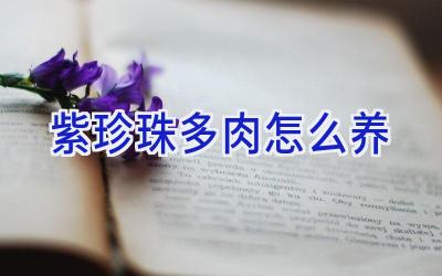 紫珍珠多肉怎么养插图 紫珍珠多肉怎么养插图