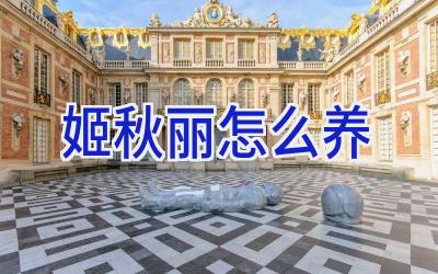 姬秋丽怎么养插图 姬秋丽怎么养插图