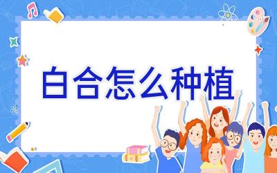 白合怎么种植插图