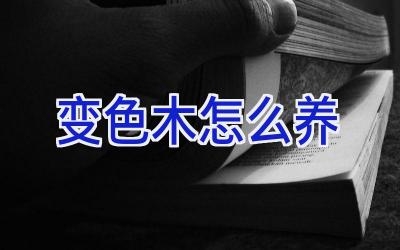 变色木怎么养插图 变色木怎么养插图
